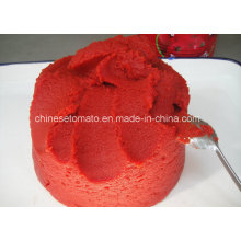 Tomato Paste Manufacturer Tomato Paste Export in China